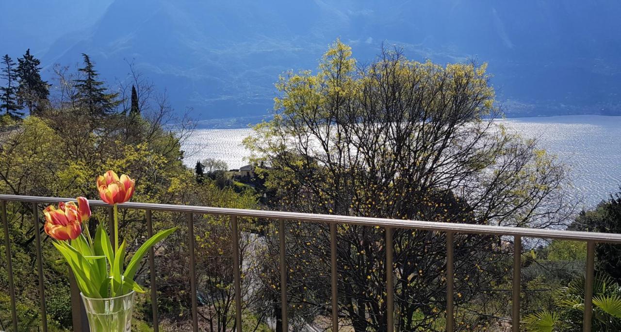 Loft Diva Lake View By Gardadomusmea Tremosine Екстер'єр фото